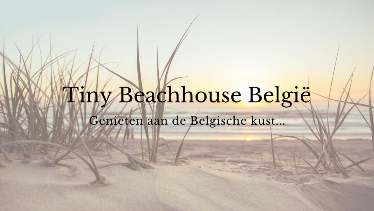 Tiny Beachhouse Belgium, فينداوني المظهر الخارجي الصورة